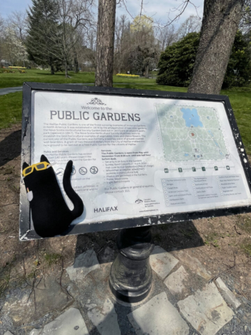Schrodinger on a break from the conference to take in the sights around Halifax. A stuffed cat propped against a sign describing the public gardens. The gardens can be seen in the background.