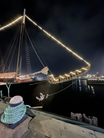 Conference attendees were treated to great views from the harbour like this one! A sailing ship at night with lights along the rigging.